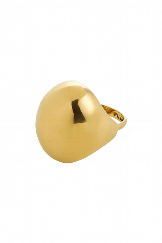 Celine Ring 2