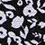 Black & White Floral