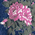 Dark Blue Denim Floral