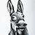 Donkey