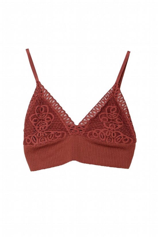 Have Some Fun Bralette