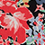 Red Floral