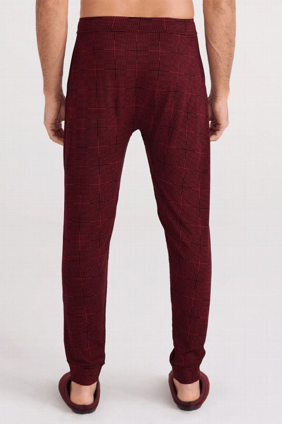 SAXX Snooze Pant 2