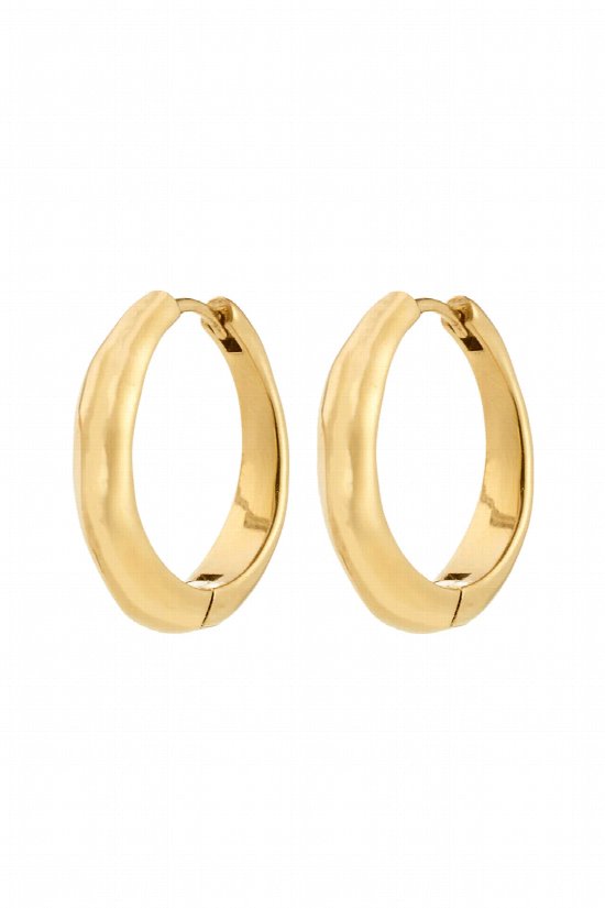 Solenne Hoop Earrings 2