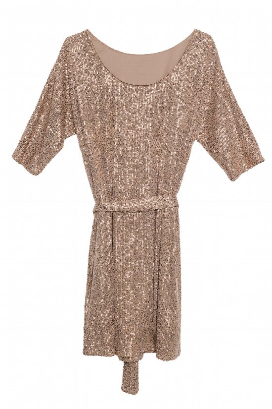 Sparkle Bright Belted Dress Sparkle Bright Belted Dress