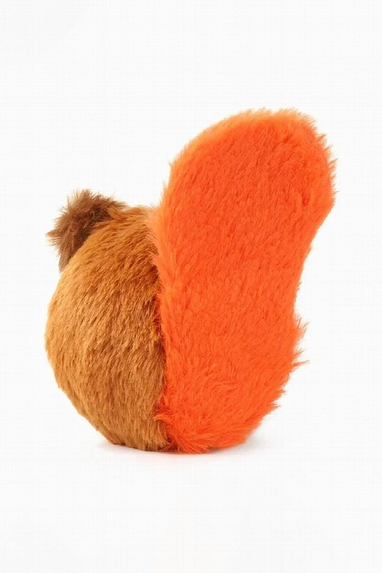 Squirrel Ball Dog Toy