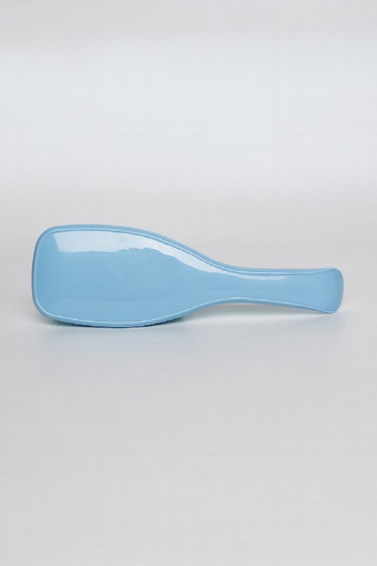 The Wet Detangler Hairbrush